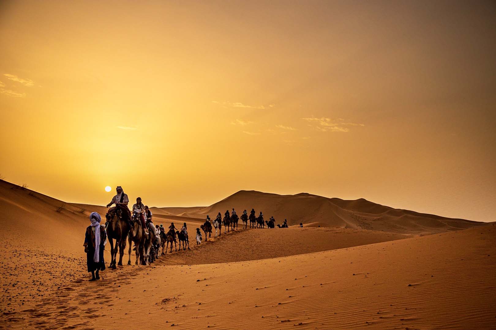 landscape-desert-camels-travel-destination-traveling-natural-light-sahara-traveller-merzouga_t