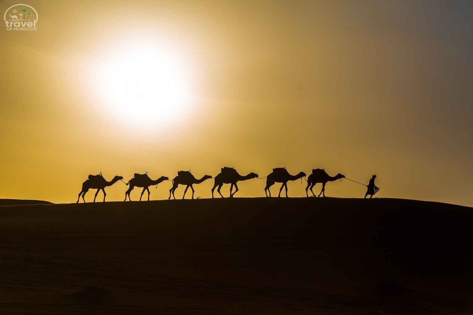 2 Days Tour from Fes to Merzouga Sahara Desert