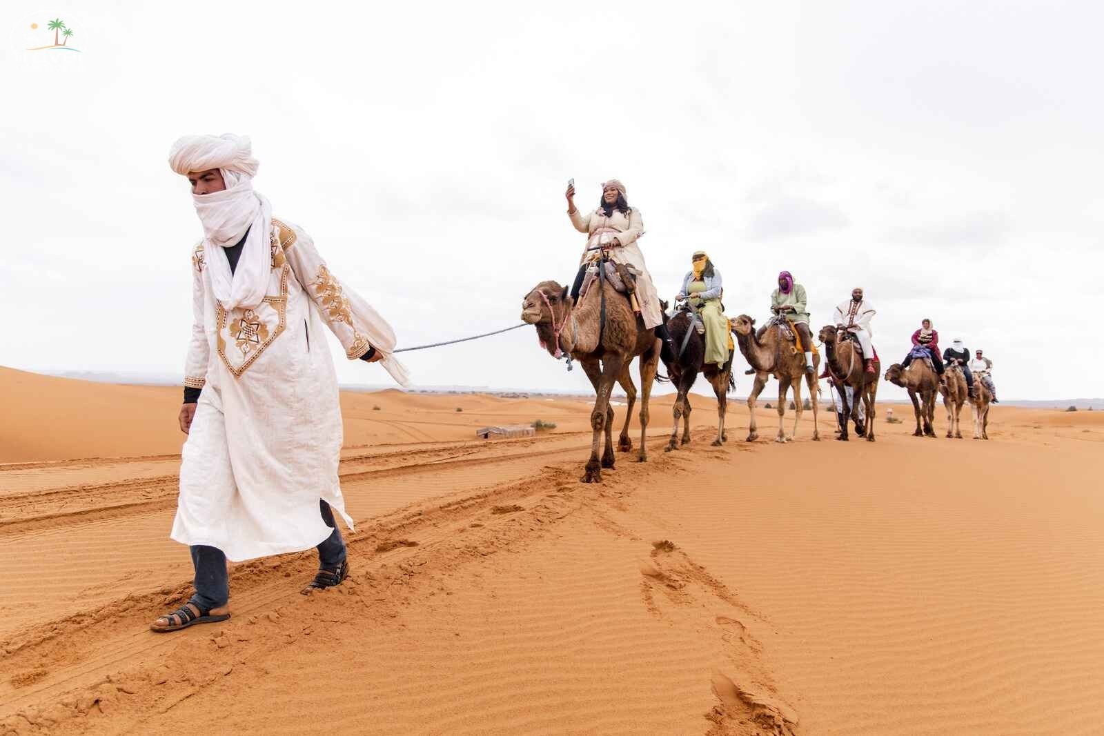 Camel trek in desert erg chebbi